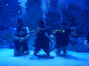 3 Aralık Dünya Engelliler Günü’nde Engelsiz Dalış Etkinliği: “Su Altında Engel Yok”